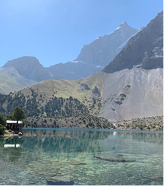 Тимбилдинг