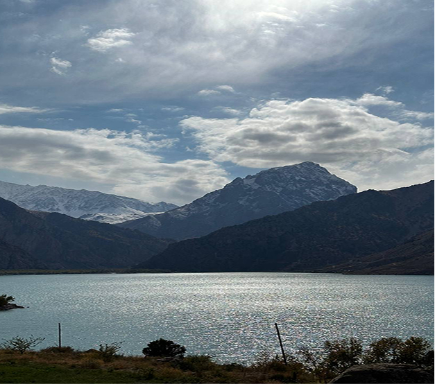 Тимбилдинг