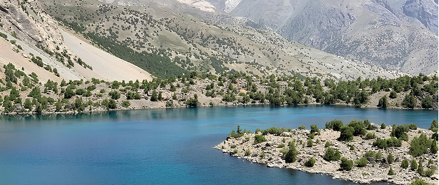 Тимбилдинг